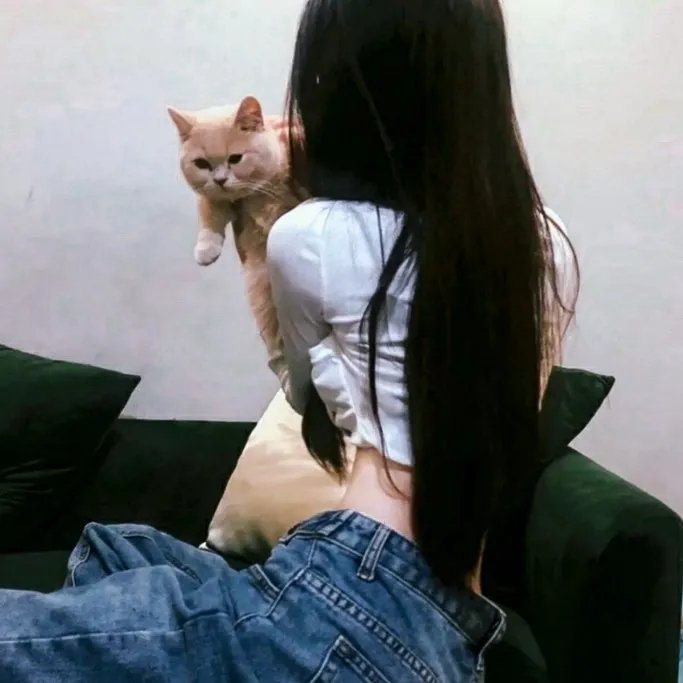 追凶三少年